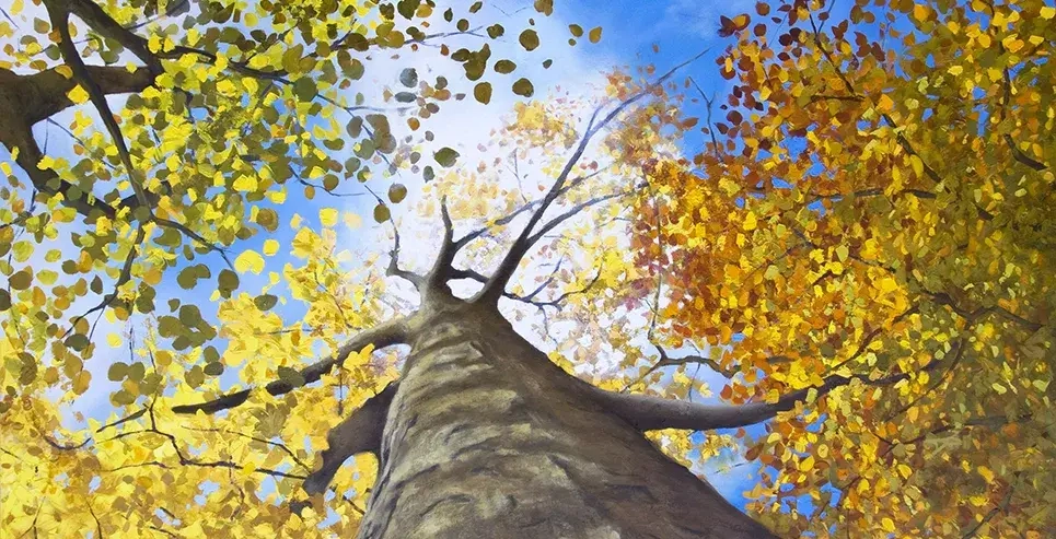 painting of a tree with green and orange leaves viewed from below