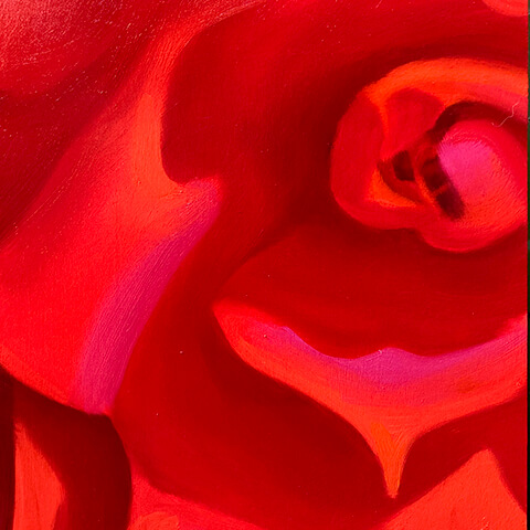 David DJ Johnson O'Keeffe style painting of red flower close up
