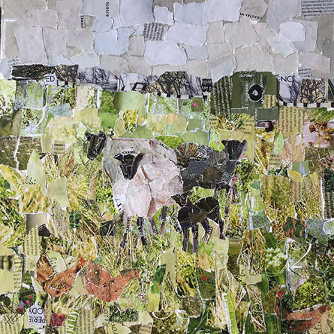 helen norman collage of sheep with lambs in field