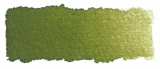 525 Olive Green Yellowish S2