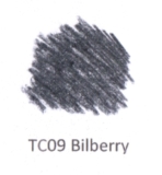TC09 Bilberry
