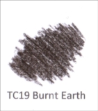 TC19 Burnt Earth