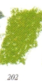 Leaf Green 202