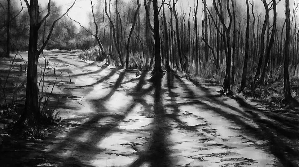wendy rhodes charcoal drawing of winter trees and path - westonbirt