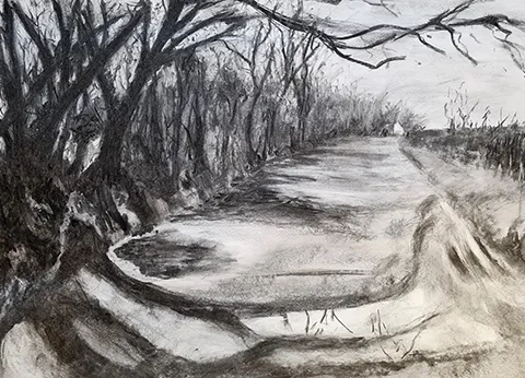 students charcoal sketch of path and trees with shadows