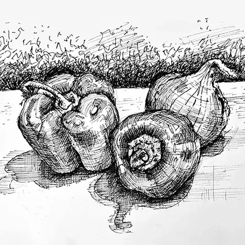 pen drawing of bell peppers and onion