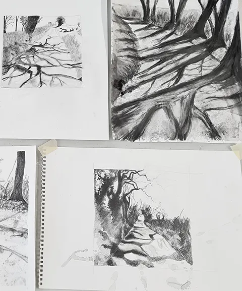 selection of tree drawings on table