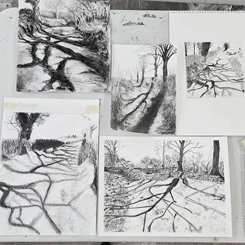 selection of pencil and water-soluable tree drawings on table
