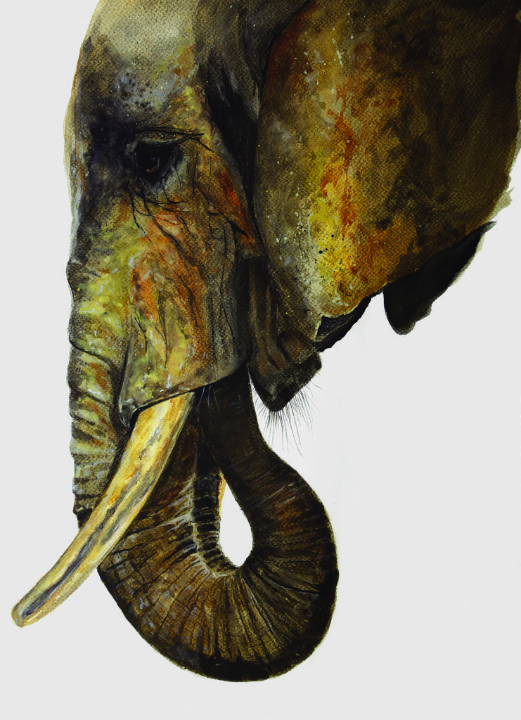 Elephant, the winning painting from Artists of the Year award