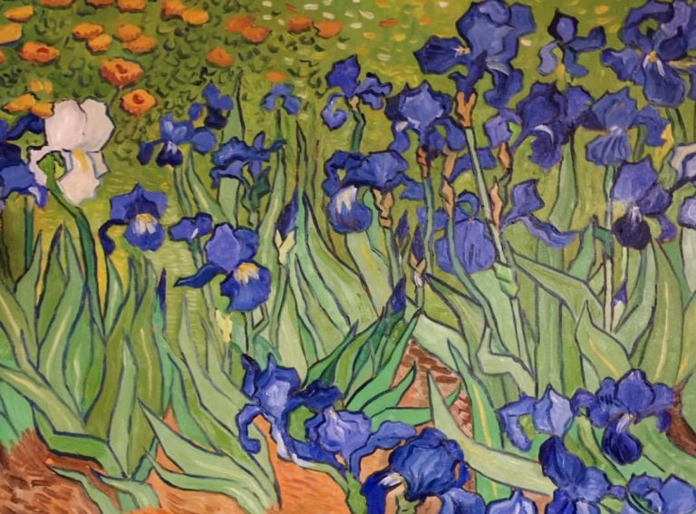 Van Gogh Iris paintings Pegasus Art Blog