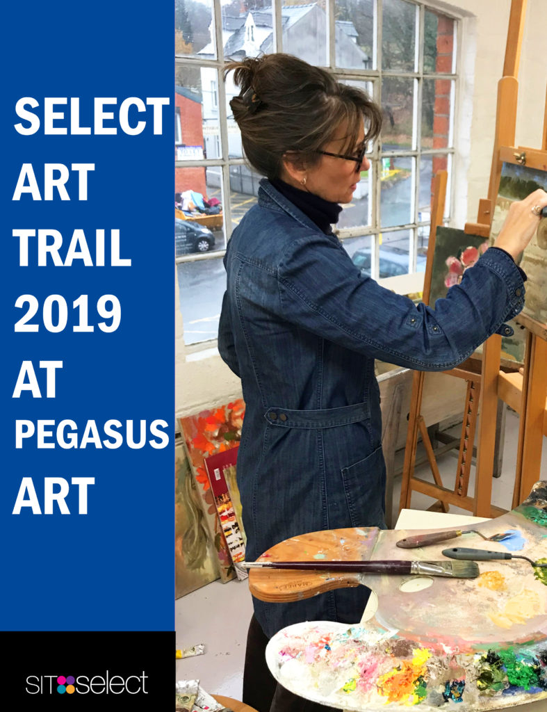 Sarah Howard studio open at Pegasus Art 2019