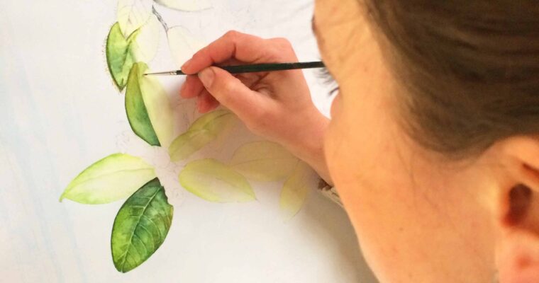How to paint a botanical orchid