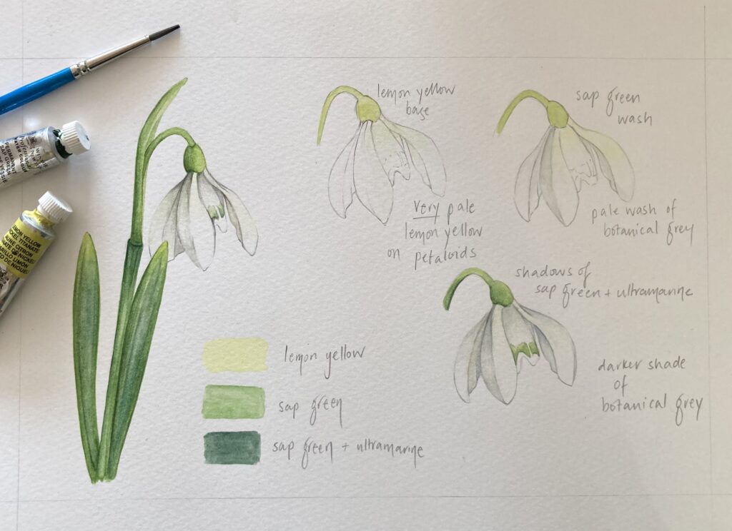 Painting snowdrops with Karen Green Art
