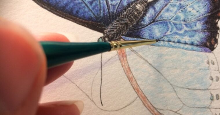 How to paint a butterfly with Cath Hodsman – a new workshop!