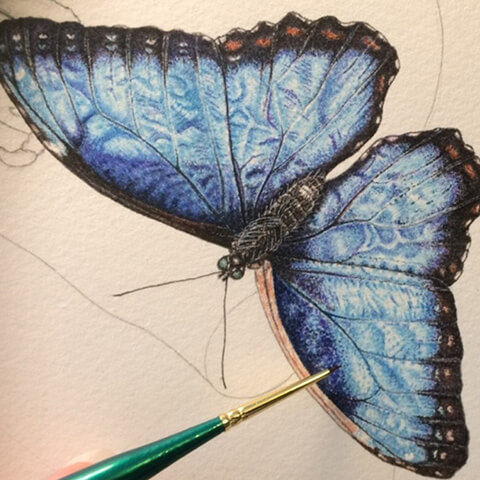 cath hodsman finishing painting a blue moth