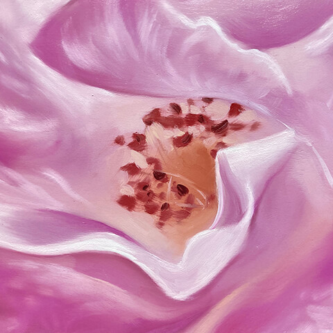 David DJ Johnson O'Keeffe style painting of pink flower close up