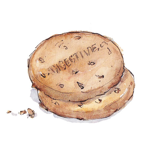 emma leyfield watercolour of two digestive biscuits