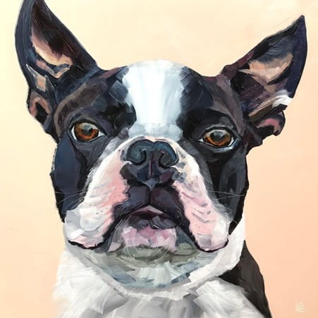 lucy burton - french bulldog black and white pet portrait in oil