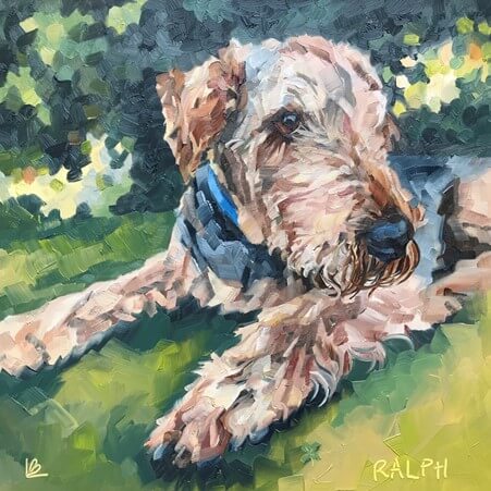 lucy burton pet portrait of terrier sog called Ralph sitting on lawn in shade