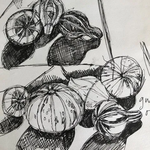 Lucy Inder drawing class sketch of fruit