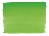 580 May Green