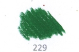 Dark Green 229