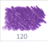 Violet 120