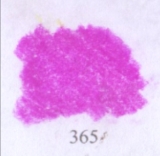 Light Violet 365