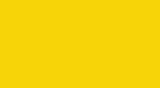 Primrose Yellow YL9928