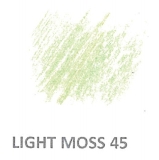 45 Light Moss LF 5