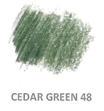 48 Cedar Green LF 5