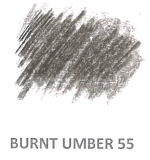 55 Burnt Umber LF 8