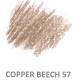 57 Copper Beech LF 8