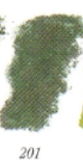 Leaf Green 201