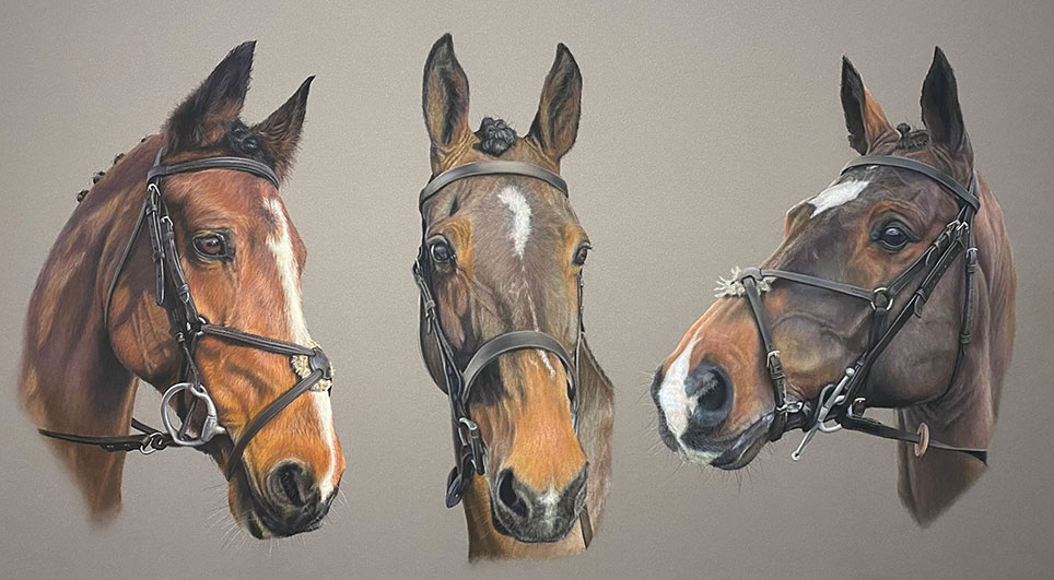 Rachael Kuczaj - pastel drawing 3 bay horses with bridles