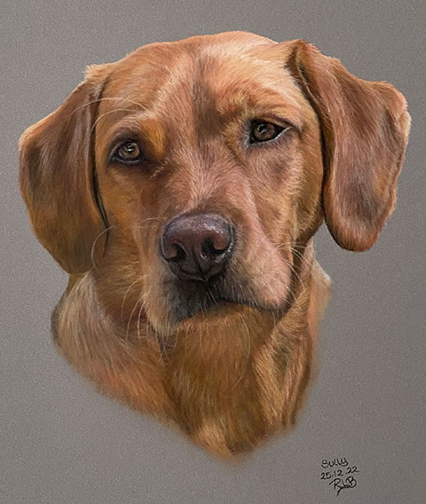 Rachael Kuczaj - pastel drawing red labrador dog
