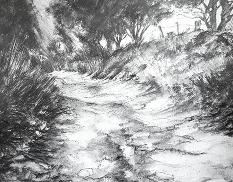 wendy rhodes landscape water-soluble graphite drawing woodland path