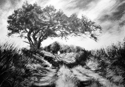 wendy rhodes drawing of tree on overgrown path